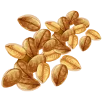 Seeds