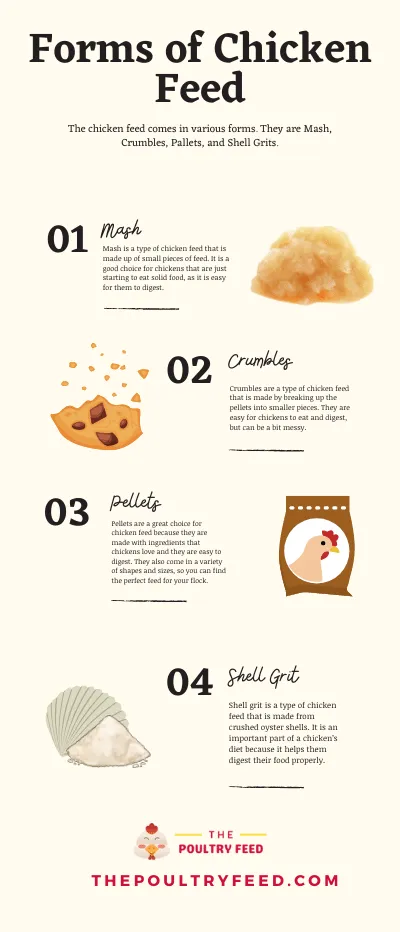 Forms of Best Chicken Feeds