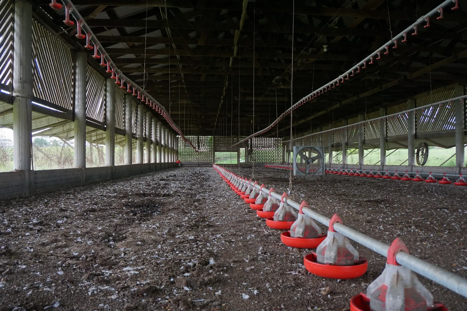 Best quail feeders
