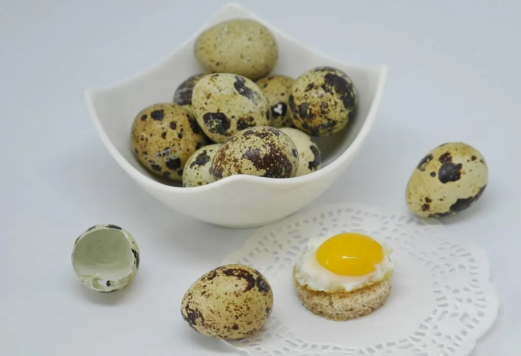 Quail Egg