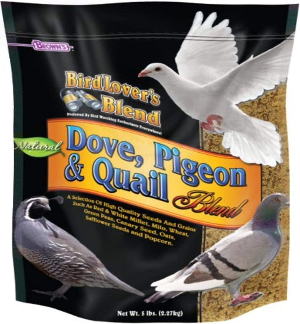 7 Best Pigeon Feed in 2023 [Reviewed] The Poultry Feed
