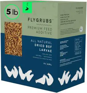 FLYGRUBS-Superior-to-Dried-Mealworms