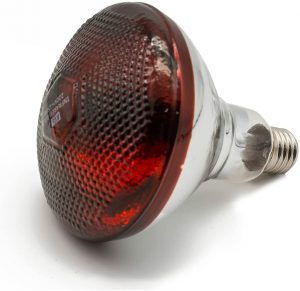 Fengrun Infrared Heat Lamp
