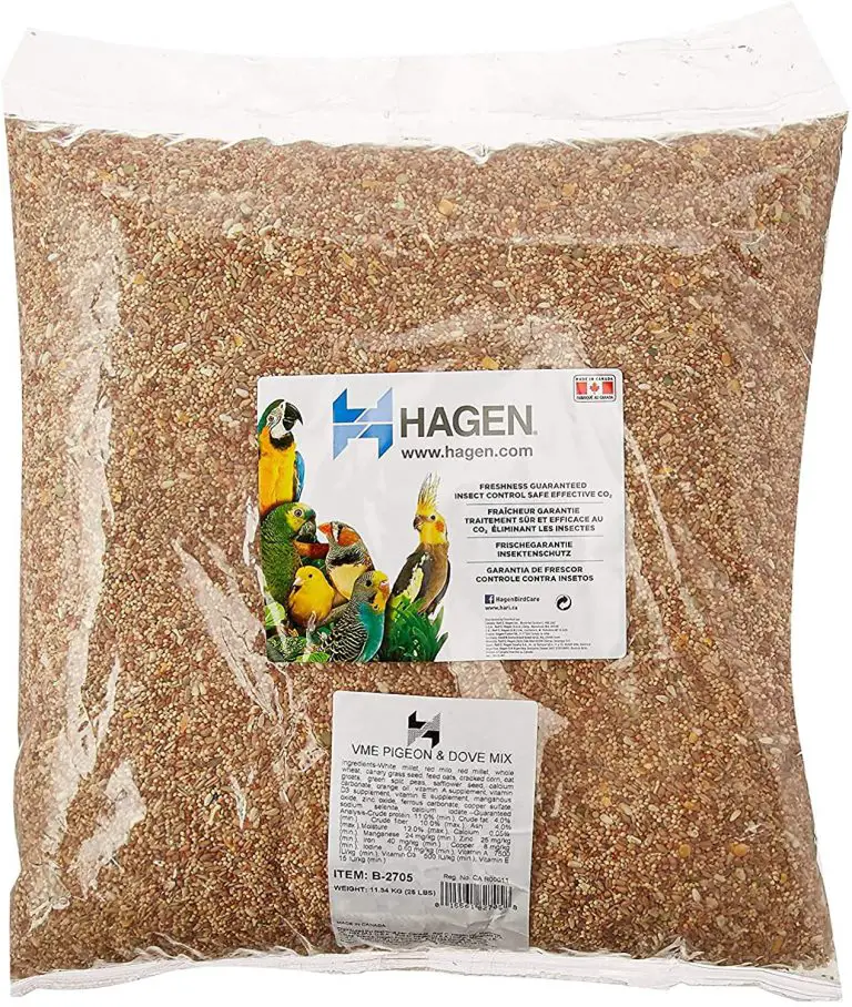 7 Best Pigeon Feed in 2023 [Reviewed] - Hagen Pigeon AnD Dove Staple Vme SeeD 25 PounD 768x908