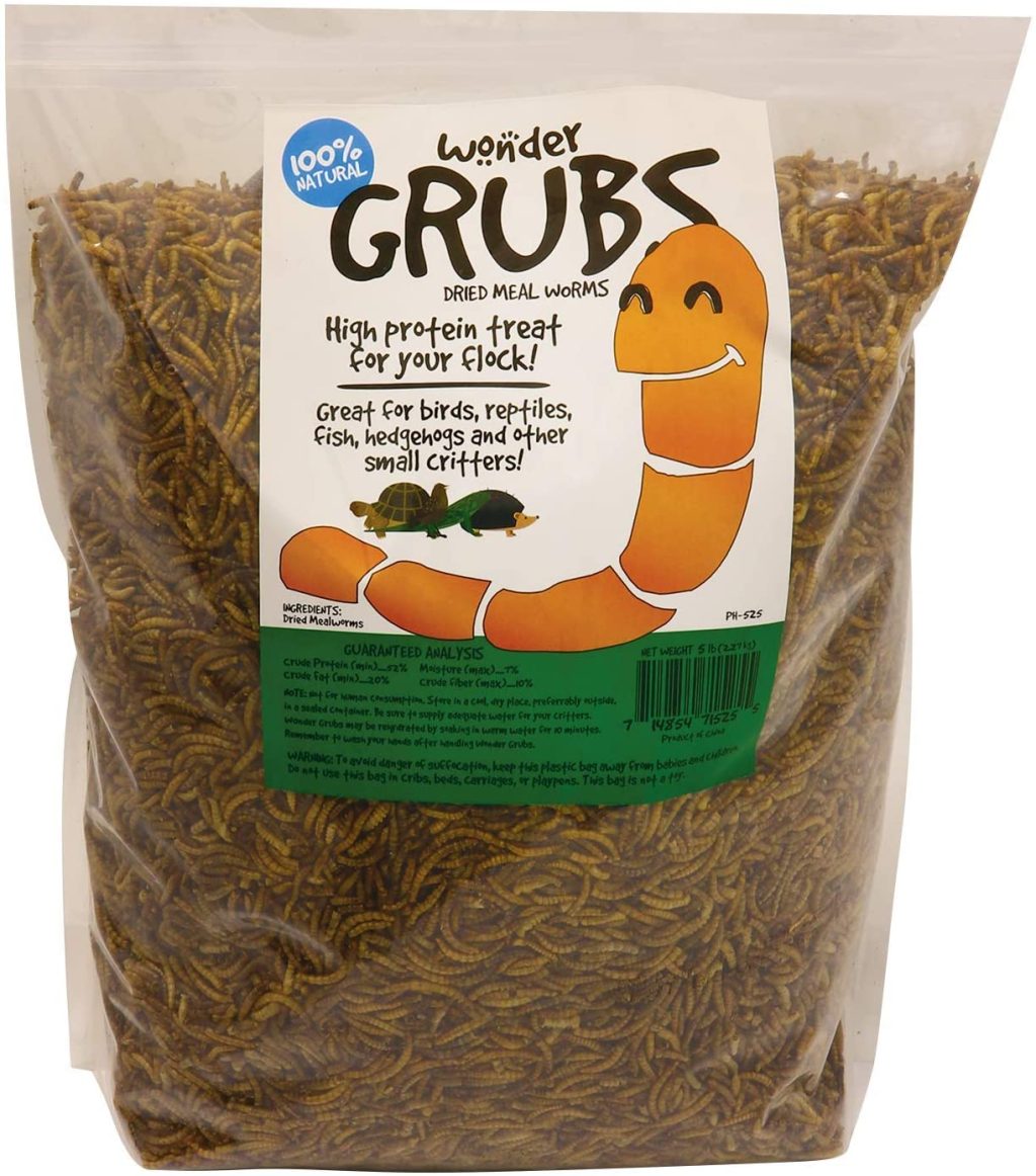 7 Best Duck Food in 2023 [Reviewed] The Poultry Feed