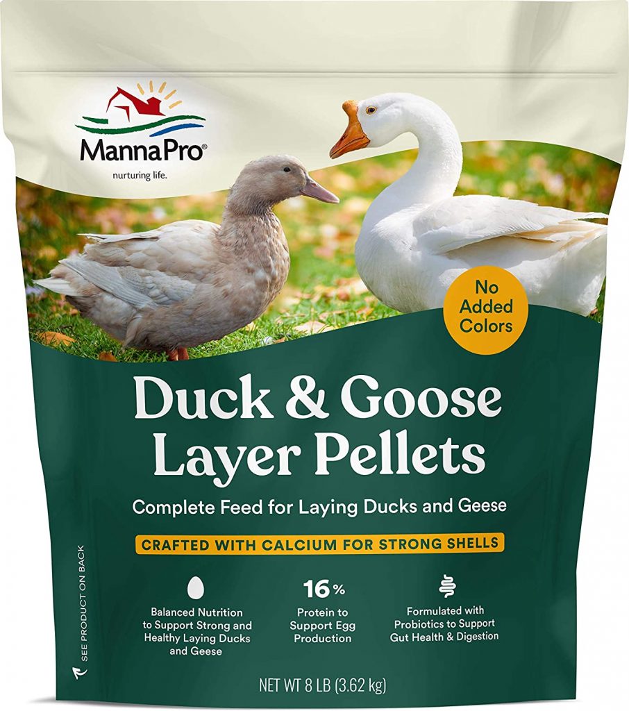 7 Best Duck Food in 2023 [Reviewed] The Poultry Feed