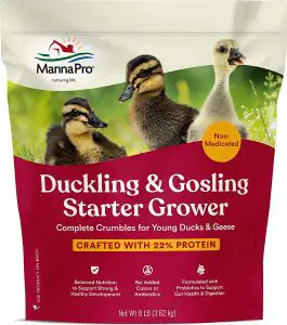 Best Duckling Starter Feed- Manna Pro Duck Starter Grower Crumble