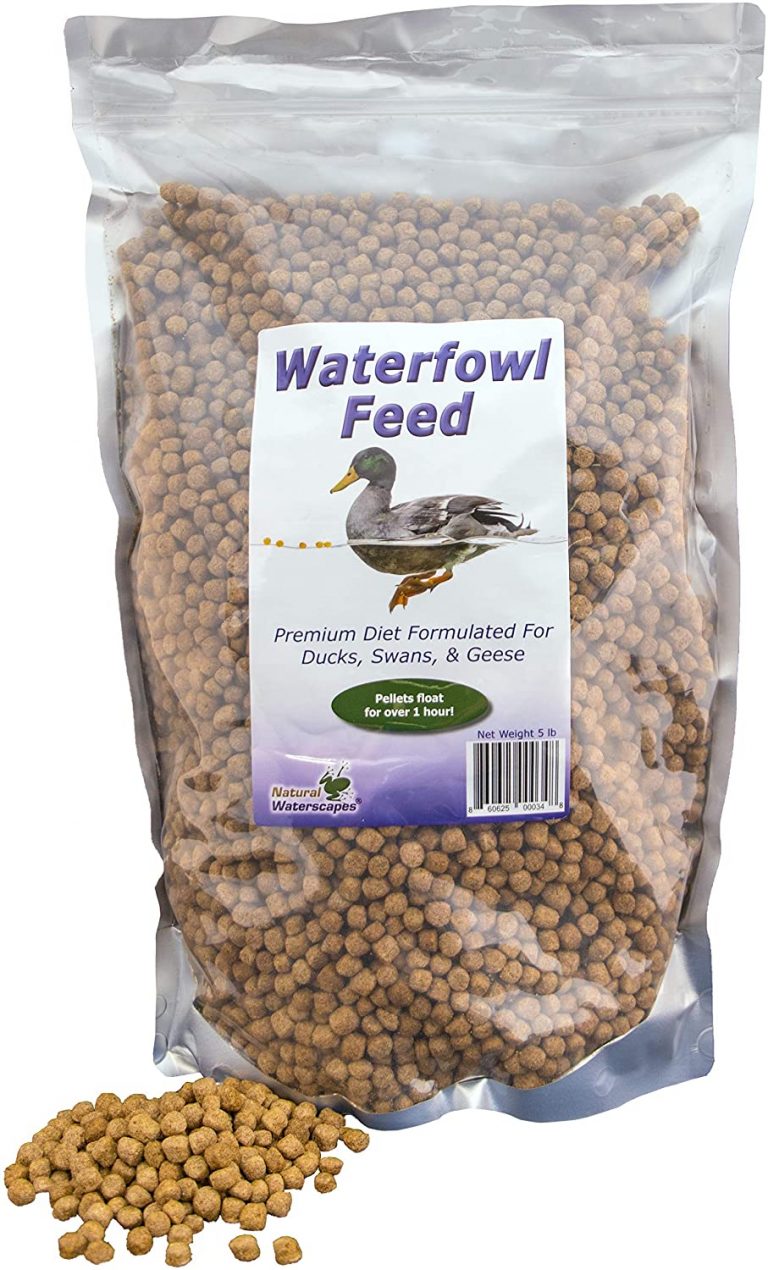 7 Best Duck Food in 2023 [Reviewed] The Poultry Feed