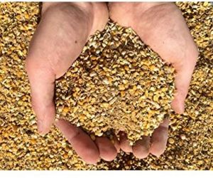 New Country Organics Soy Free Turkey Grower Feed