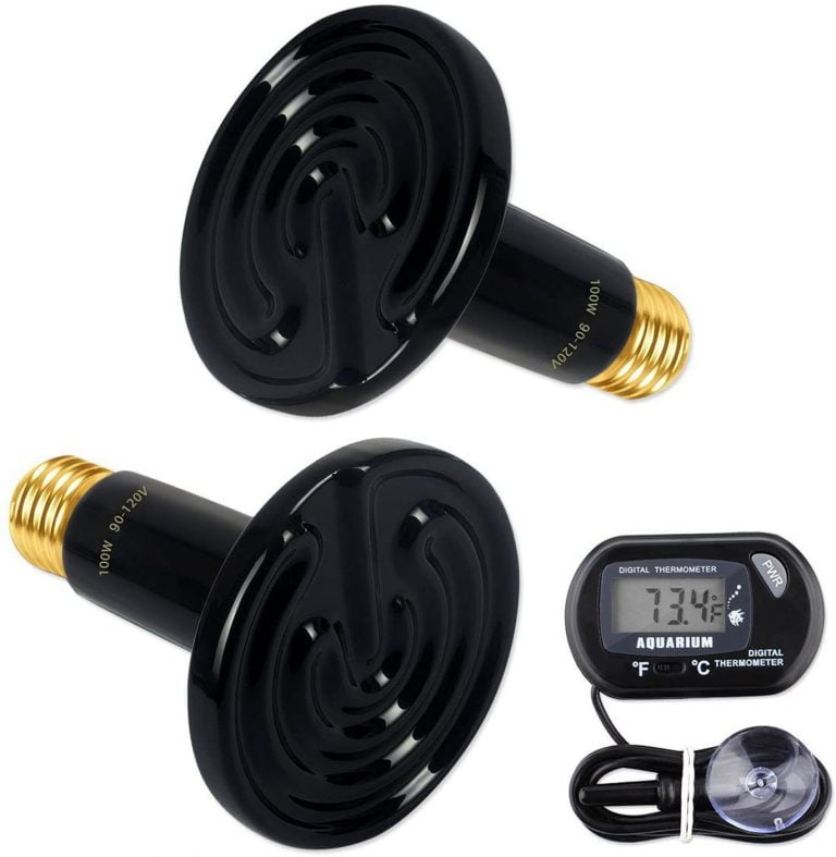 4 Best Waterproof Heat Lamp in 2023 The Poultry Feed