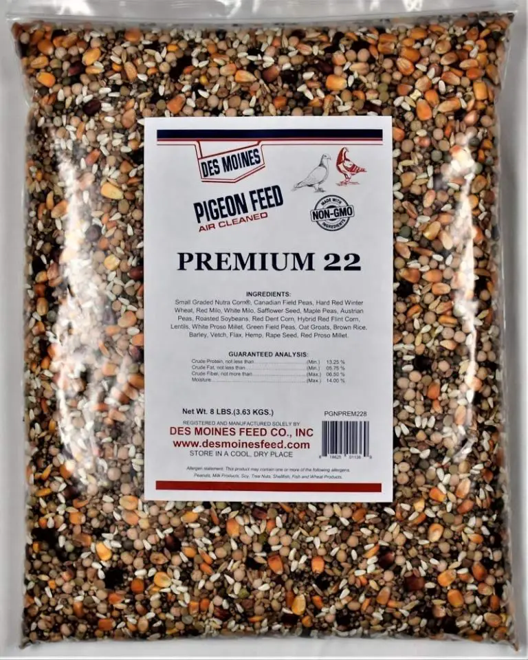 7 Best Pigeon Feed in 2023 [Reviewed] - Premium 22 Pigeon Mix 768x960