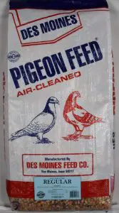 Des Moines Regular Pigeon Mix