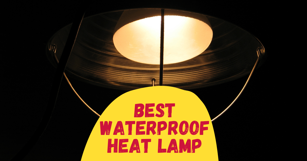 4 Best Waterproof Heat Lamp in 2023 The Poultry Feed