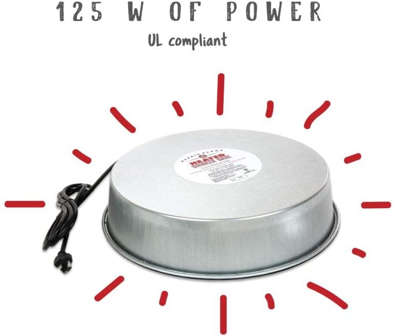 6 Best Chicken Water Heaters in 2021 The Poultry Feed