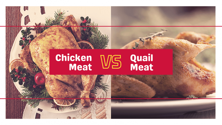 Quail Meat vs. Chicken Meat - The Poultry Feed