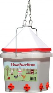 RentACoop 2 Gallon Chicken Waterer