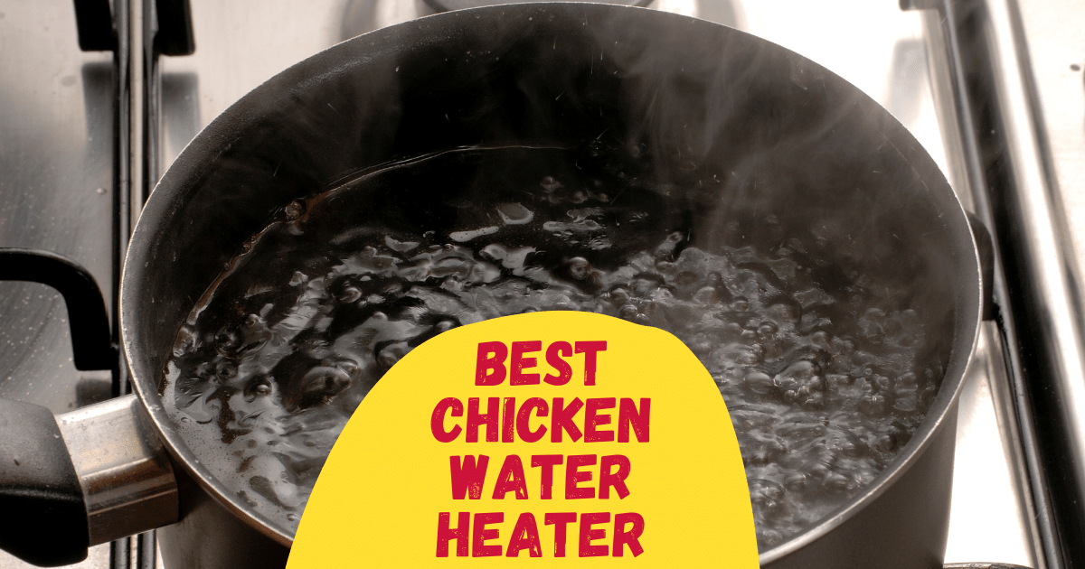 6 Best Chicken Water Heaters in 2021 The Poultry Feed