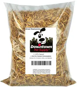 Downtown Pet Supply Dried Mealworms