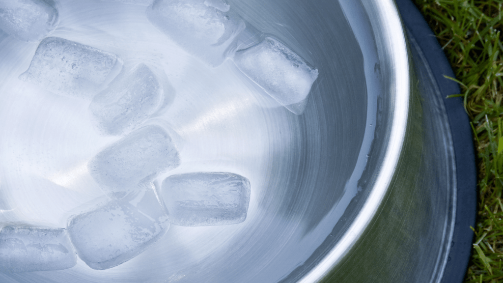 Keeping Water from Freezing in the Chicken Coop is Easy The Poultry Feed