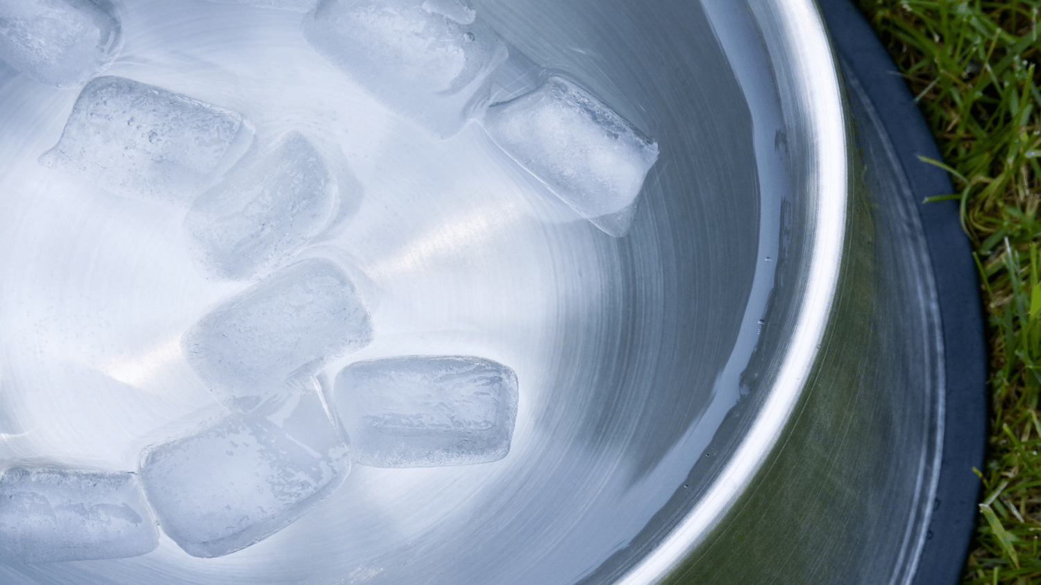 Keeping Water from Freezing in the Chicken Coop is Easy The Poultry Feed