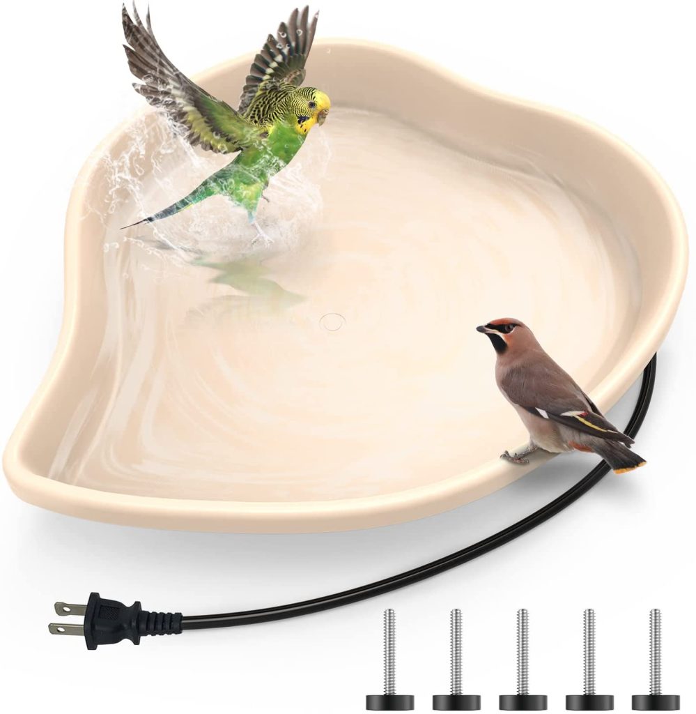 5 Best Bird Bath Deicers in 2024 The Poultry Feed
