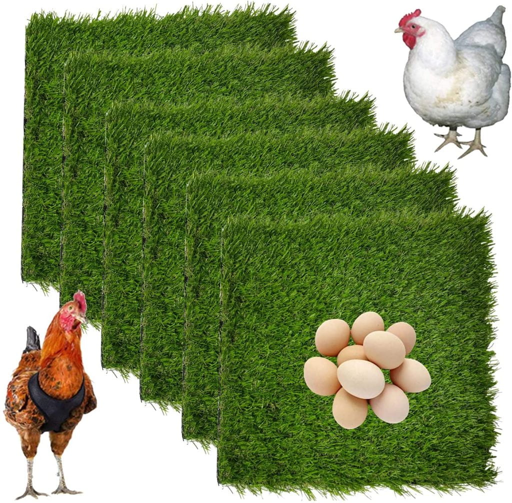 5 Best Bedding for Chicken Coop in 2023 The Poultry Feed