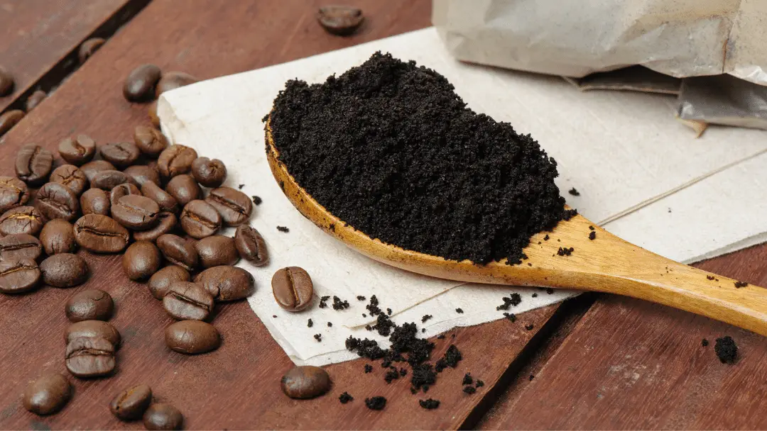 Are coffee grounds good for chickens
