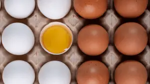 Are white eggs better