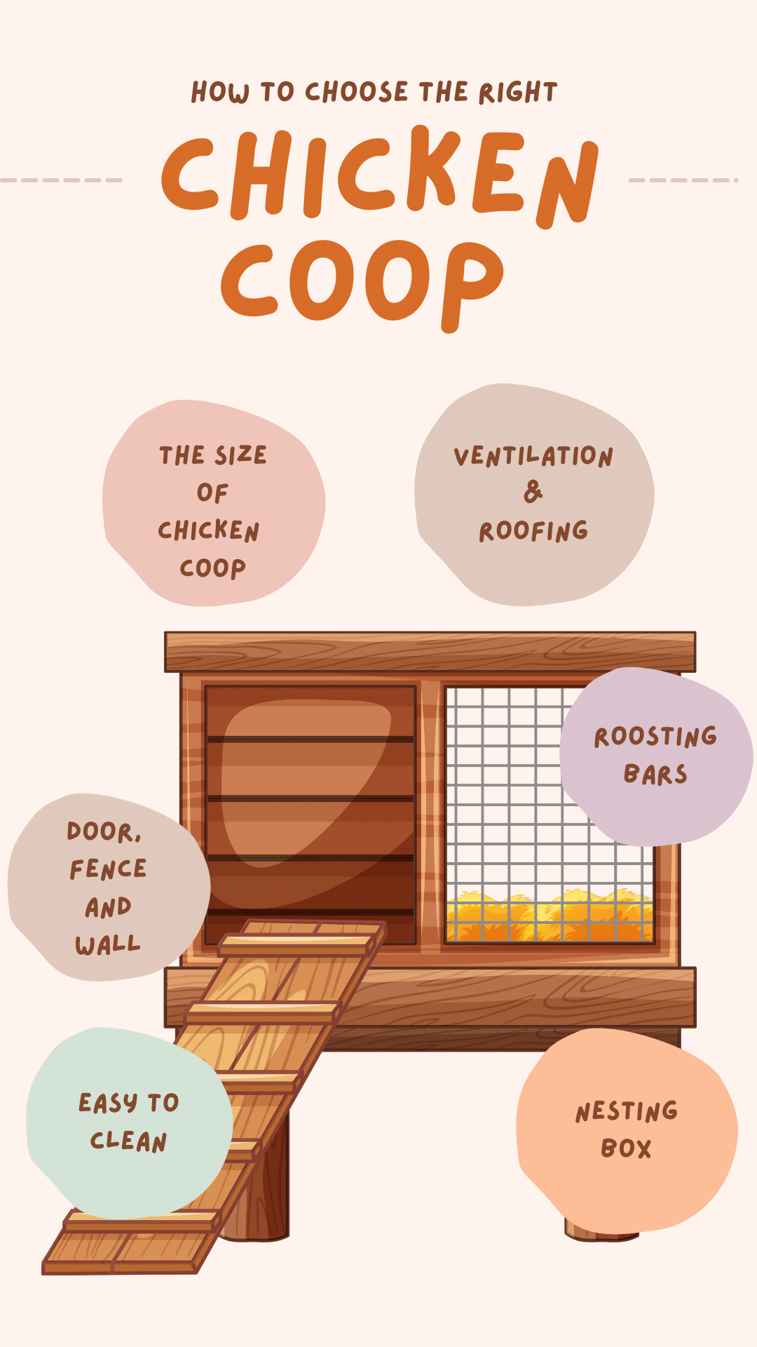 6 Best Chicken Coop Reviews [Buying Guide 2023] The Poultry Feed