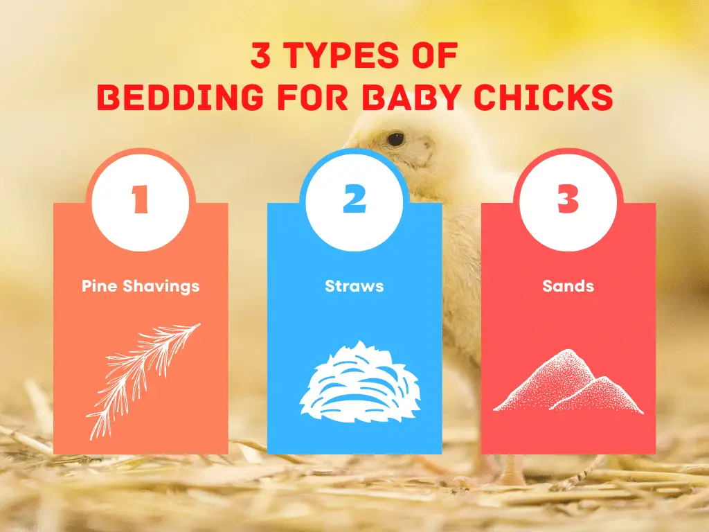 types of bedding for baby chickens