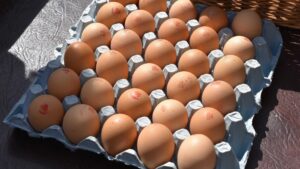 how long does it take to hatch chicken eggs
