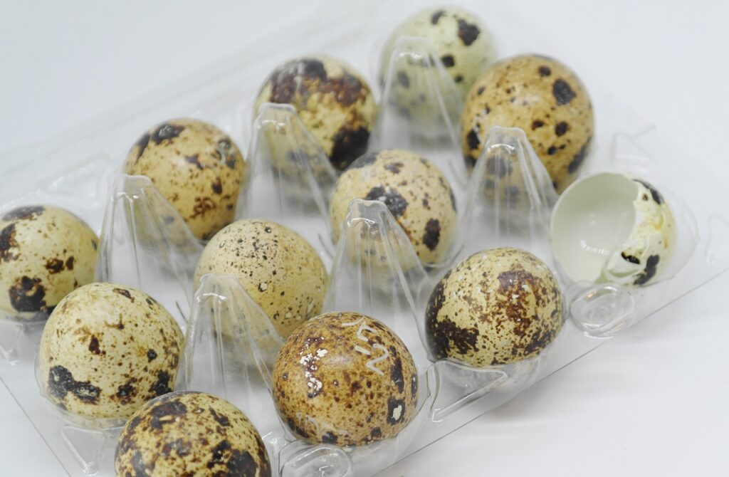 Quail Egg Incubation StepbyStep Guide The Poultry Feed